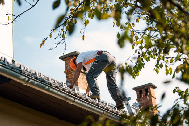 Best Roof Repair Services  in New Castle, CO