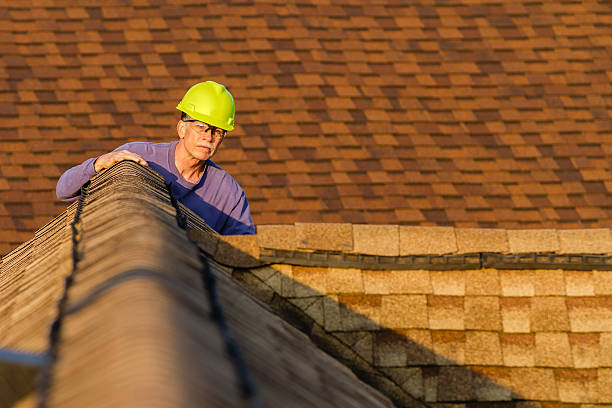 Roof Gutter Cleaning in New Castle, CO